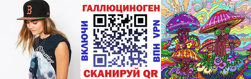 наркота  Дмитровск  маркетплейс телеграм  Галлюциногенные грибы GOLDEN TEACHER 